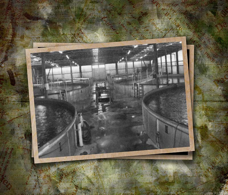 Historical photo of the trout farm